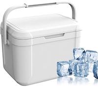 Piccolo Dispositivo di Raffreddamento Rigido, Ghiacciaia Portatile, Refrigeratore Isolato per Feste, Campeggio, Spiaggia e Attività all'Aperto (Bianco)