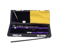 Piccolo Do 16 Tasti, Strumento Musicale Piccolo, Garantisce Un Suono Di Alta Qualità, Con Custodia, Accordatore E Panno, For Studenti Principianti (Color : Purple)