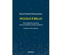 Piccolo è Bello. Uno Studio Di Economia Come Se La Gente Contasse Qualcosa