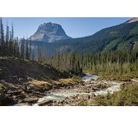 Piccolo fiume, bosco e montagna - Gioco di puzzle da 1500 pezzi per adulti: gioco di abilità fai da te, gioco di puzzle colorato (14 anni+)