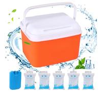 Piccolo frigorifero rigido, mini frigorifero portatile isolato da 5 qt con maniglie, piccola ghiacciaia portatile per campeggio picnic sulla spiaggia, contenitore per il pranzo e combo, arancione