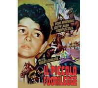 Piccolo fuorilegge (DVD)
