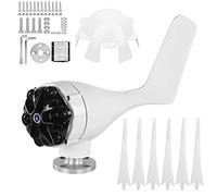 Piccolo generatore eolico Alimentatore a 6 pale Kit turbine eoliche eolico portatile da 300 W per cabine di barche Case mobili Pale in fibra di nylon Lunghezza 21,7 pollici (24 V)