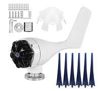 Piccolo generatore eolico Alimentatore a 6 pale Kit turbine eoliche eolico portatile da 300 W per cabine di barche Case mobili Pale in fibra di nylon Lunghezza 21,7 pollici (24 V)