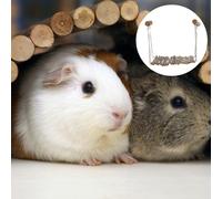 Piccolo letto Animale Sleep Nest Nest Hammock Accessori Guinea Pig Appeso Swing