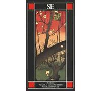 Piccolo manoscritto nella bisaccia