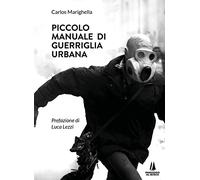 Piccolo manuale di guerriglia urbana