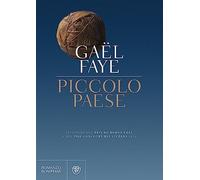 Piccolo paese