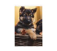 Piccolo pastore tedesco, bandiera da giardino di benvenuto da 0,9 x 0,9 m, double face, non sbiadisce, per casa, cortile, cortile, cortile, prato, decorazione esterna