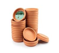 Piccolo piattino per piante in terracotta, 32 mini piattini rotondi, piccoli vassoi per piante in argilla, perfetti per piante da 5,1 cm, 6,3 cm, 7,6 cm