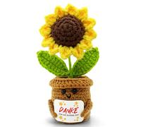 Piccolo regalo di ringraziamento, grazie per il bel tempo, regalo di addio, educatore, insegnante, collega, addio, collega, uncinetto, portafortuna, soggiorno, ufficio, decorazione auto