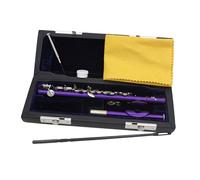 Piccolo Strumento a fiato C Chiave per Palcoscenico Illuminazione Musicale Aula Viola 31,5 x 1,3 cm