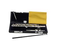 Piccolo strumento a fiato chiave C per teatro illuminazione musicale aula argento 31,5 x 1,3 cm