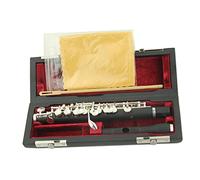 Piccolo strumento musicale con custodia, strumenti di pulizia e coperchio, chiave di do, corpo composito