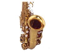 Piccolo Strumento Musicale Per Sassofono Saxophone, Strumento Musicale Speciale Per Sassofono Per Principianti
