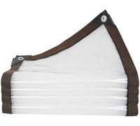 Piccolo Telo Impermeabile per Impieghi Gravosi 2x4m, Telone Trasparente Impermeabile, Copertura per Telone Trasparente Impermeabile, Telone con Occhielli in Metallo Ogni 18 Ihes, per Tetto,