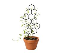 Piccolo traliccio per piante in vaso - 2 pezzi supporti in metallo per viti, scaffale decorativo per arrampicata, recinto da giardino | Per interni ed esterni balcone patio cortile porta edera