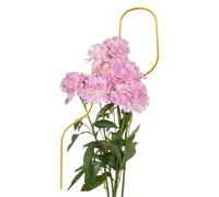 Piccolo traliccio per piante in vaso, scaffale per coltivare verdure, 45,7 cm, per serre idroponiche, giardinaggio, aiuole rialzate in vaso, vigneto, patio, balcone, paesaggistica