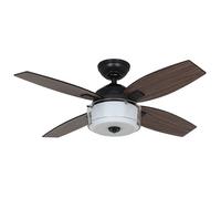 Piccolo Ventilatore con Luce Hunter Central Parco Acciaio Ventola 3 Livelli [EEK: Inaditato]