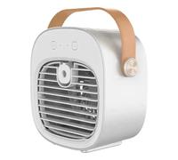 Piccolo ventilatore di raffreddamento, Raffreddatore D'aria Elettrico Da Tavolo, La Di Raffreddamento, Raffreddamento Ad Aria Ricaricabile Tramite USB o Home Office Camera da letto Dormitorio Interno