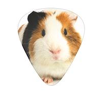 Pick per chitarra Cute Guinea Pig Advanced guitar pick 12 pieces Three thicknesses for bass,electric guitar,acoustic guitar bag