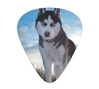 Pick per chitarra Dogs 3 Different Thickness Abstract Art Colorful Celluloid Guitar Pick Plectrums For Bass,Music Lovers Guitar PlayersElectric,Acoustic Guitars Includes 0.46mm,0.71mm,0.96mm
