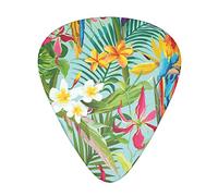 Pick per chitarra Tropical plants and parrots Advanced guitar pick 12 pieces Three thicknesses for bass,electric guitar,acoustic guitar bag