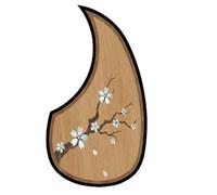 Pickguard per chitarra, battipenna per chitarra | Sostituzione della guardia degli strumenti a corda | Battipenna protettiva vintage resistente alle lacrime per le prestazioni della scena