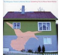 Pickin' On Seri The Bluegrass Tribute to Modest Mouse : Something You've Ne (CD)