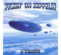 Pickin' On Series Pickin On Zeppelin: A Tribute (CD)
