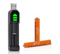 Pickle Power AAAA, 2 Batterie Ricaricabili NI-Mh AAAA da 500 mAh, con Caricatore USB per Surface Pen/Touch Pen/Google pixebook, spazzolini da denti/mouse