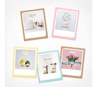 PICKMOTION Set di 5 biglietti di auguri con busta, saluti e desideri, biglietti di auguri di ottima qualità, fatti a mano, divertenti proverbi e motivi, animali, fiori, colorati, BKK-0137