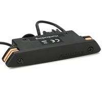 FISHMAN - PRO-REP-102 - Rare Earth humbucker acoustic pickup for rosette