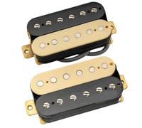 Pickup Chitarra Elettrica Pickup al ponte Humbucker al manico con carica aperta in ceramica dal tono classico(Set Zebra)