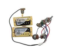 Pickup di chitarra Alnico Classic Vintage e Pro Bucker Humbucker Pickups Guitar elettrico con cablaggio Pro Pickup chitarra elettrica (Color : Zebra YE)