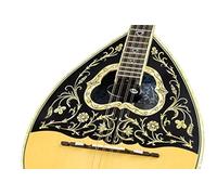Pickup KNA Bouzouki BZ-1A attivo