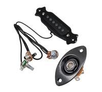 Pickup per chitarra acustica Output per pickup magnetico professionale per chitarra