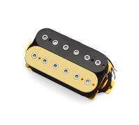 Pickup Per Chitarra Elettrica A 6 Corde Humbucker Dual In Line 12 Pezzi Vite Esagonale Pickup Regolabile(Bridge)