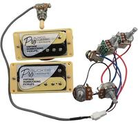 Pickup per chitarra Pro Bucker Alnico Classic Vintage Humbucker Pickups con set di cablaggio professionale per chitarra elettrica
