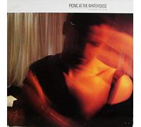 Picnic at the Whitehouse - Doors are Open [Import]