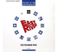 Picnic At The Whitehouse - East River (Extended Mix)
