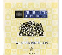 Picnic At The Whitehouse - We Need Protection