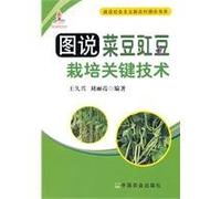 Pictorial Handbook of Kidney Bean and Cowpea Cultivation Key Technology (Chinese Edition)