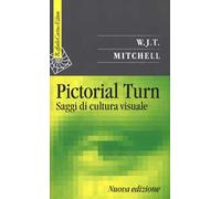 Pictorial turn. Saggi di cultura visuale