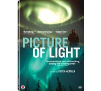 Picture of Light