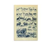 Pictures of Various Animals Modern Home Kitchen Dormitory Kids Room Mural 60 x 90 cm