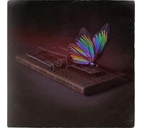 Picturesque - Do You Feel O.K?