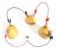 Picysa Kit Educativo Sulla Scienza della Bioenergia - Coinvolgi i Bambini