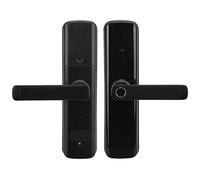 Picysa Smart Door Lock Impronta Digitale Password Keyless Entry Codice Virtuale Anti-spia con Pannello in Lega di Alluminio per L'ufficio Domestico Dell'hotel (versione graffiti)