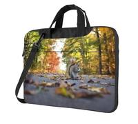 Pidgazdfgv Carino Scoiattolo Laptop Bag Business Computer Portatile Unisex Spalla Messenger Cartella Indietro Scuola Stagione, Nero , 15.6 inch